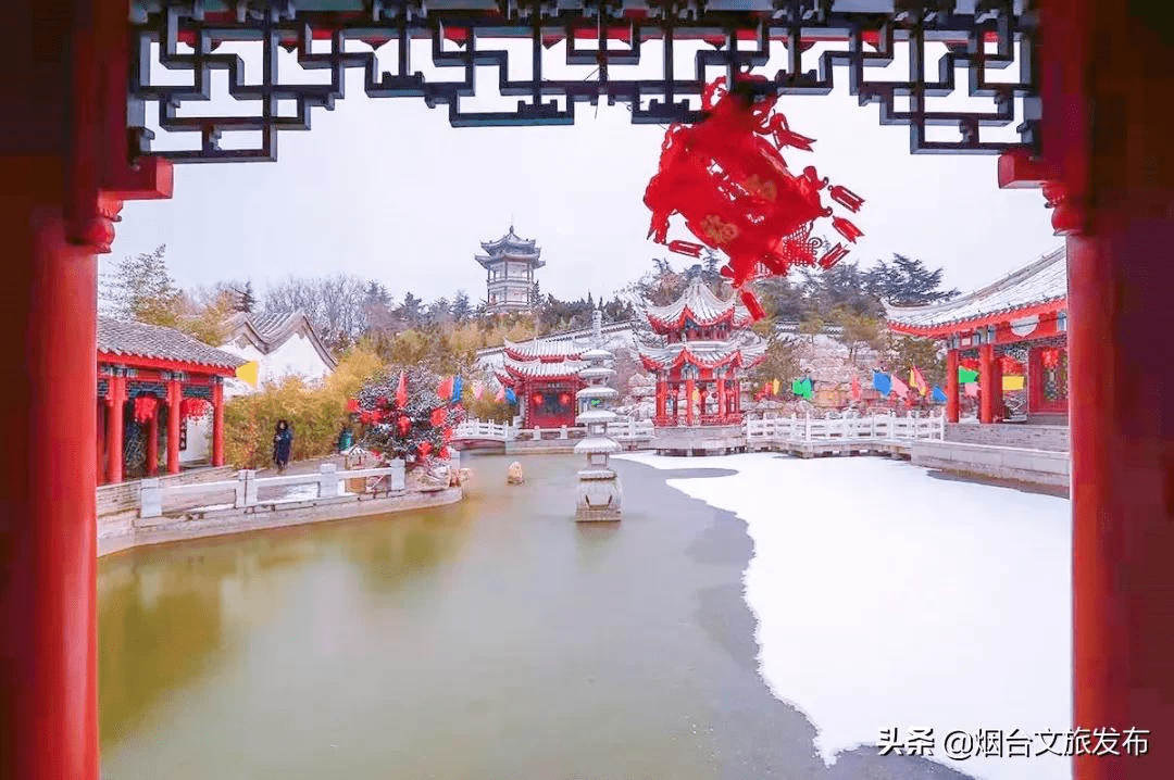 阿雅|雪?雪?雪?雪?雪?！烟台雪景大片海量来袭！