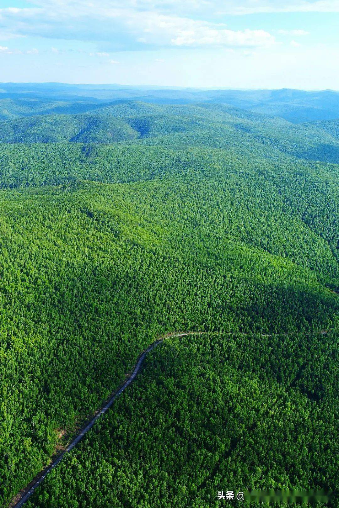 她是东北脊梁,也是绿色巨龙,是谁造就了这片奇迹山河?_兴安_中国_山脉