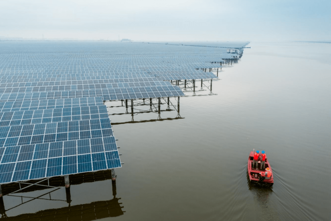 亚洲最大渔光互补光伏电站并网!_项目_并网发电_温州