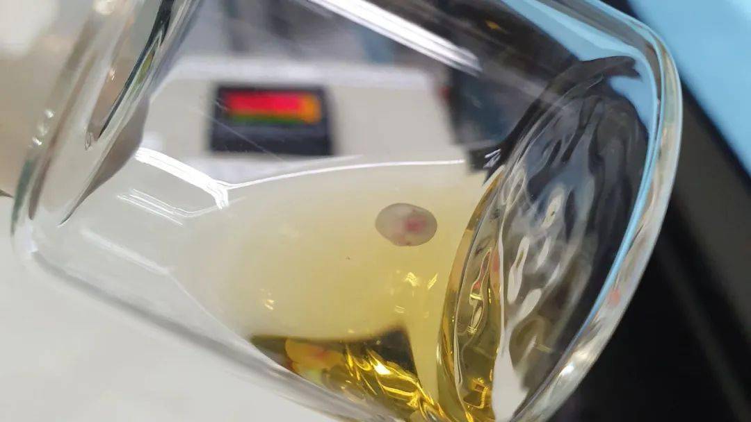 《科学》公布2021年度十大科学突破！