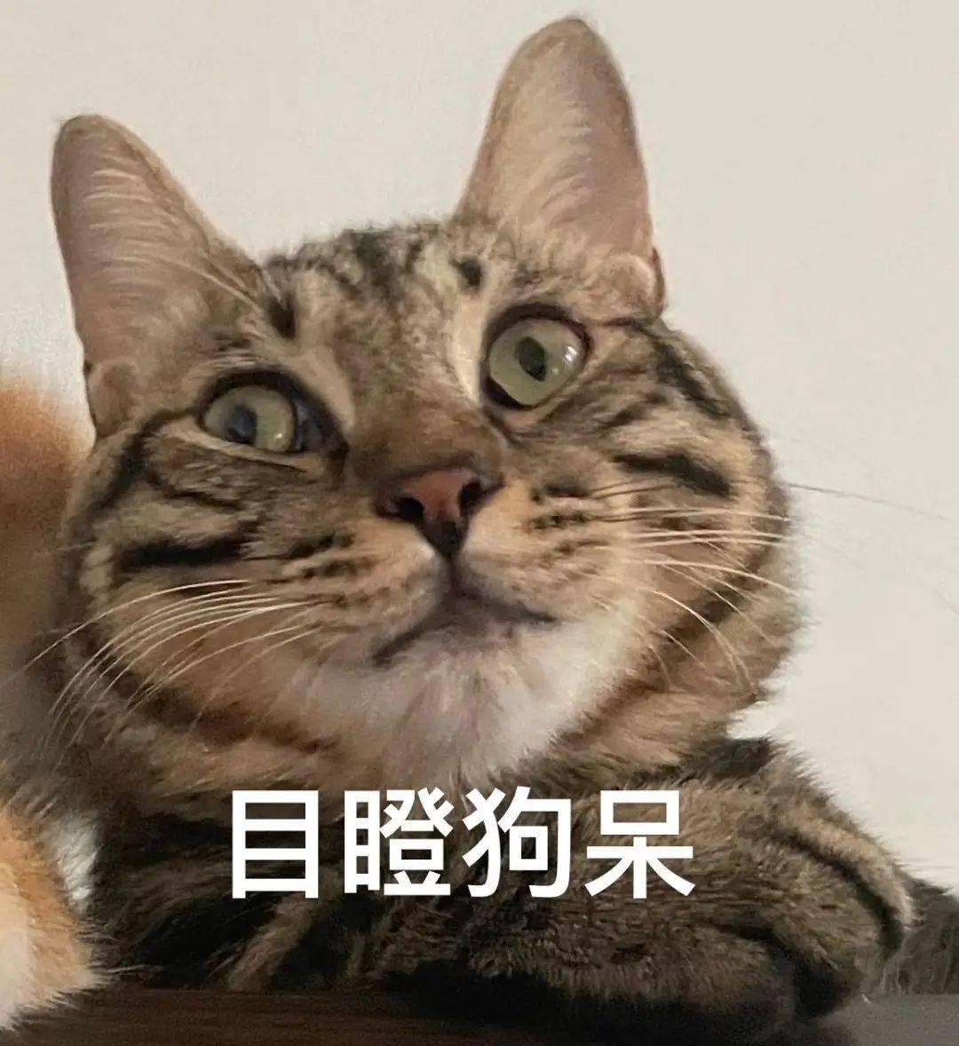 学生家长速看贵州中小学幼儿园寒假放假时间明确了