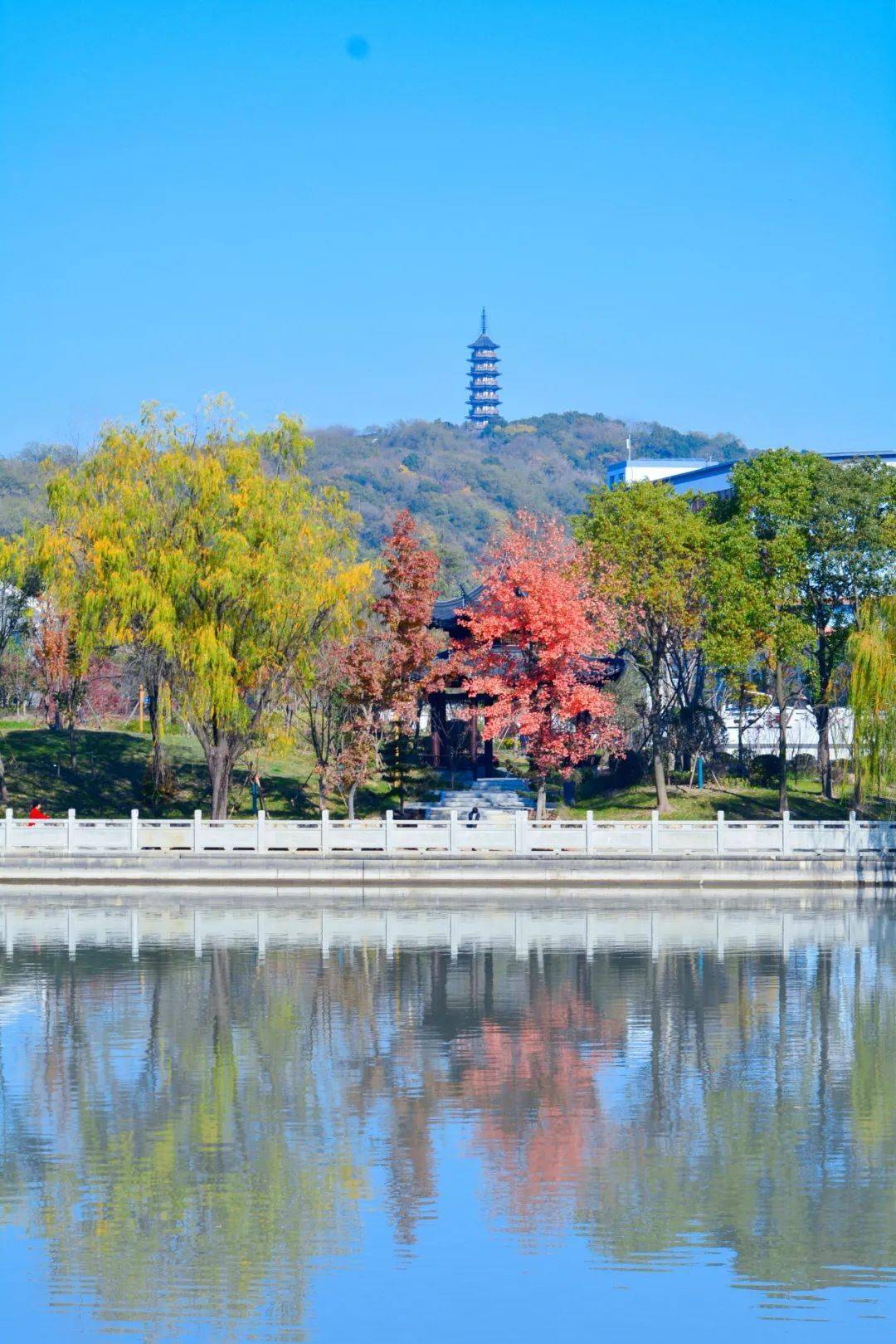 12月的海宁,"美"到所有人…_大潮_公园_章海霆