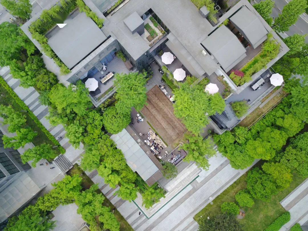 纬图设计李卉用规划的思维解决景观问题