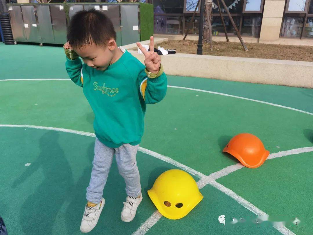 嗨!小兔——中南熙悦幼儿园小五班本课程_活动_大白_动物