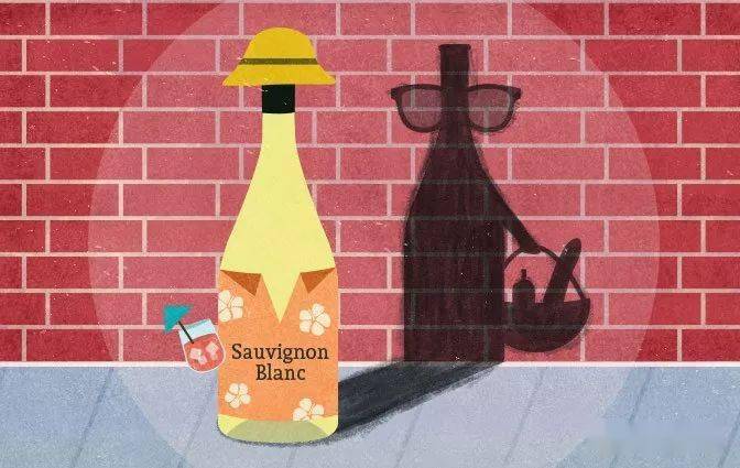 特性|这些常见的葡萄品种,也有你不熟知的一面