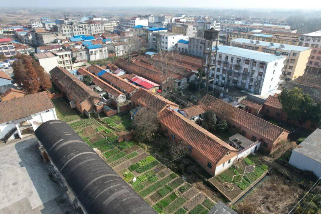 魅力潢川乡镇行虾稻之乡桃林铺扶摇万里冲云霄