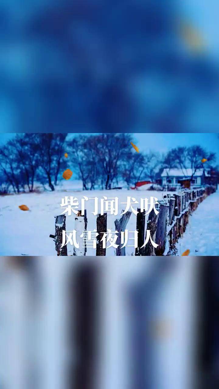 柴门闻犬吠风雪夜归人带你看雪景