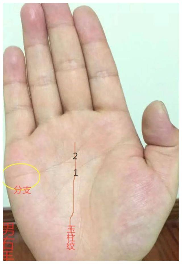 什么样的人中年以后事业有所发展 苦尽甘来 钱财不断 福主 方面 中指