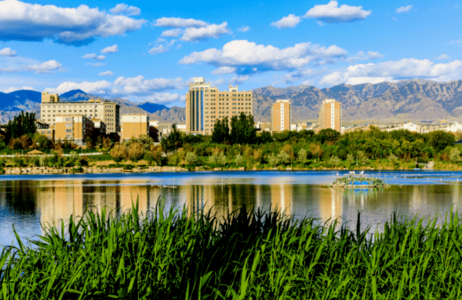 特稿丨阿拉善:绘就天蓝水碧地净的亮丽生态图景_防治_全盟_我盟