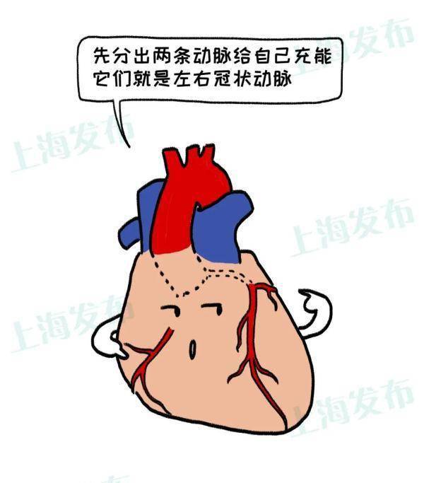 症状|@三高人群，怎样远离心梗/脑梗的威胁？