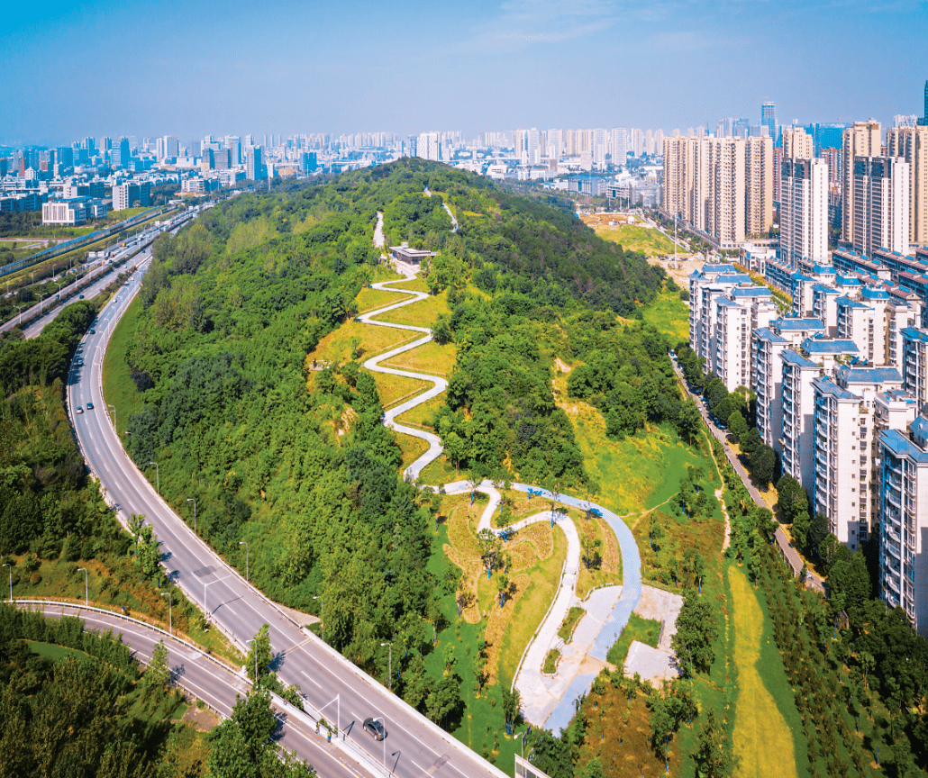修复后将变身5g康养公园黄龙山 公园:粉黛乱子草是多年生暖季型草本