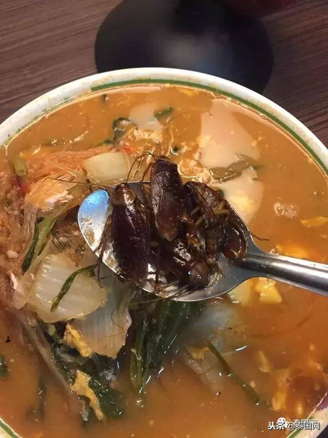 泰国网友吃泰式寿喜烧吃出4只蟑螂