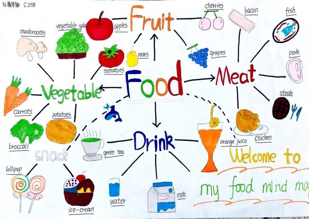 食物的思维导图简单图片