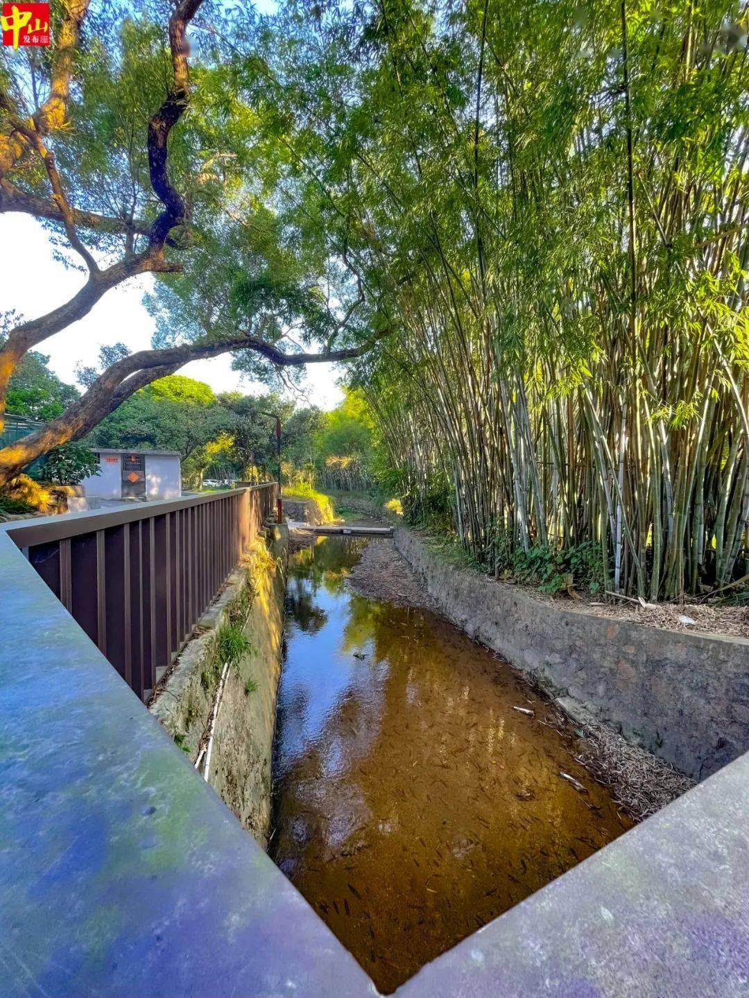 五桂山和平村旅游图片