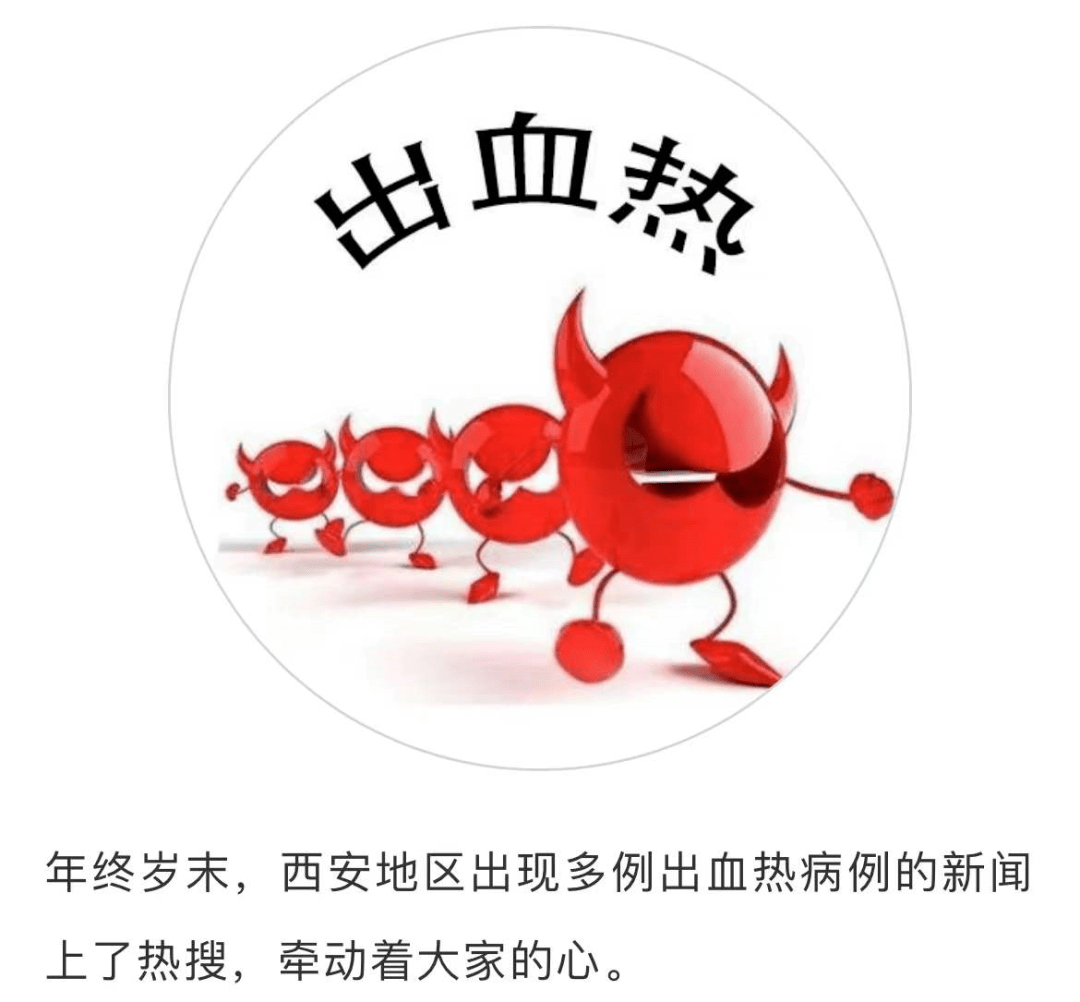 出血热不可怕预防方法每个人都能学得会做得到