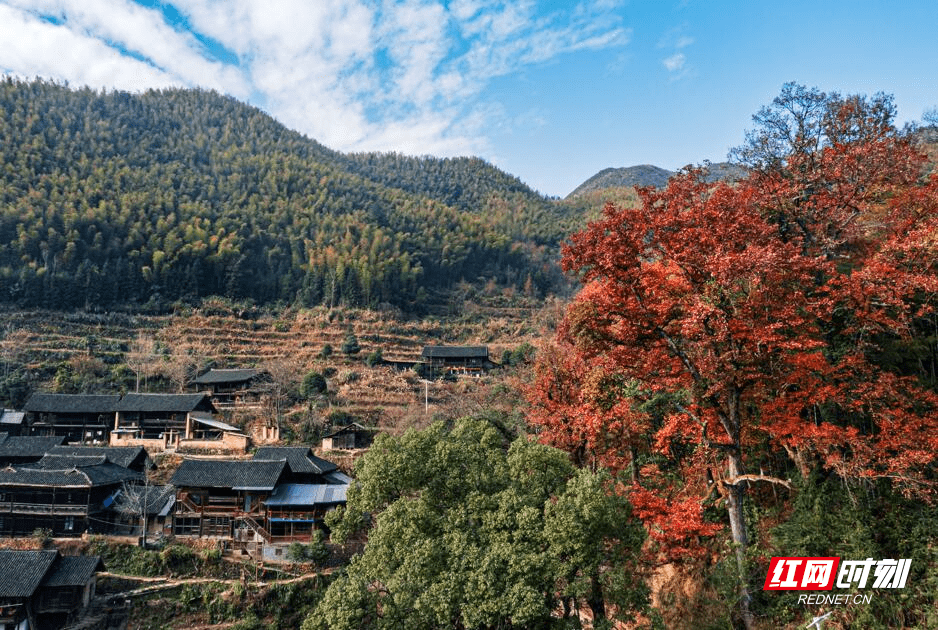 头村|东安乐子冲：古山寨仿若画，枫叶红于二月花