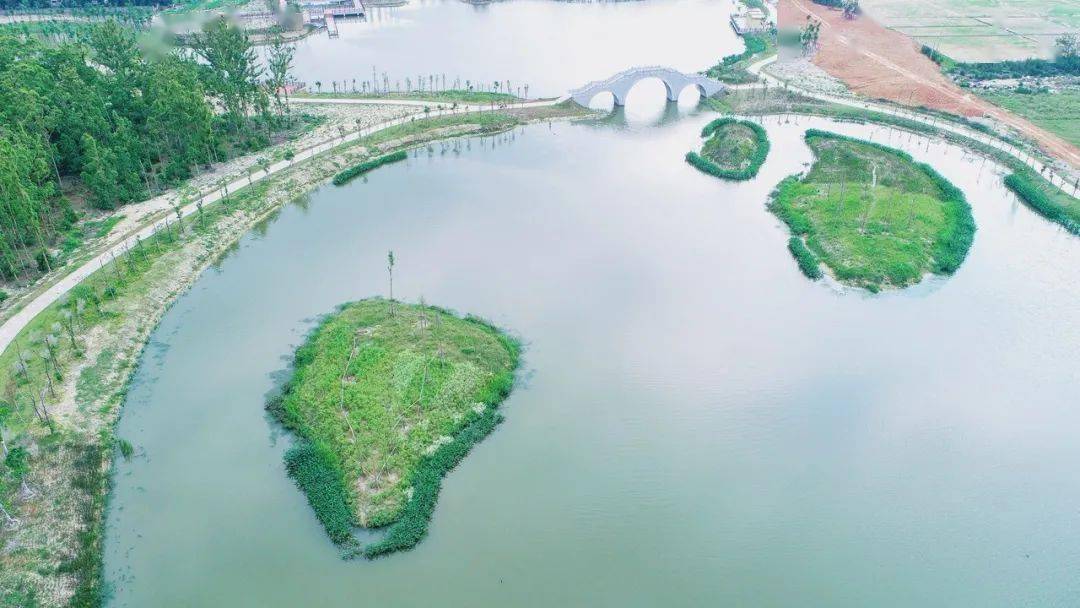 绿盈乡村从污水横流到湿地公园莆田市湄洲镇西亭村
