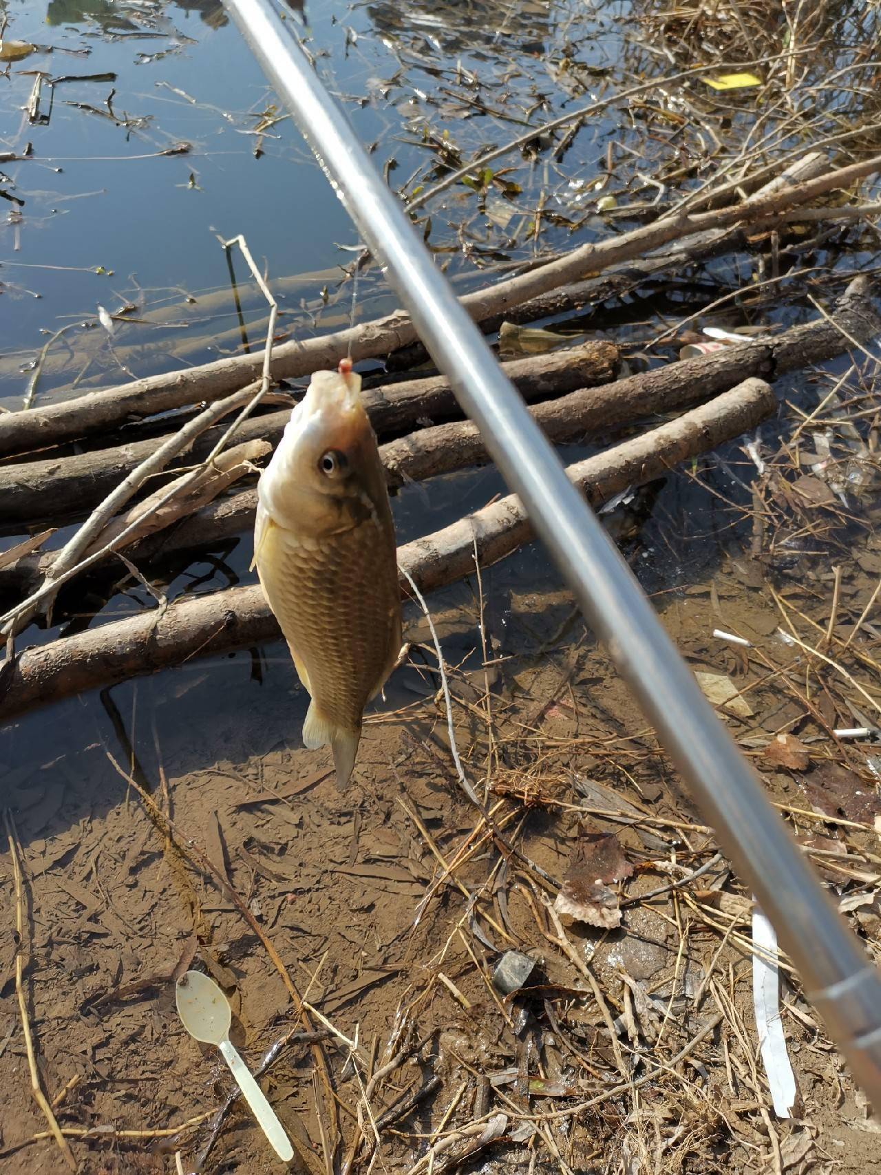 分享冬天钓鱼技巧以解空军的尴尬局面钓友看过来