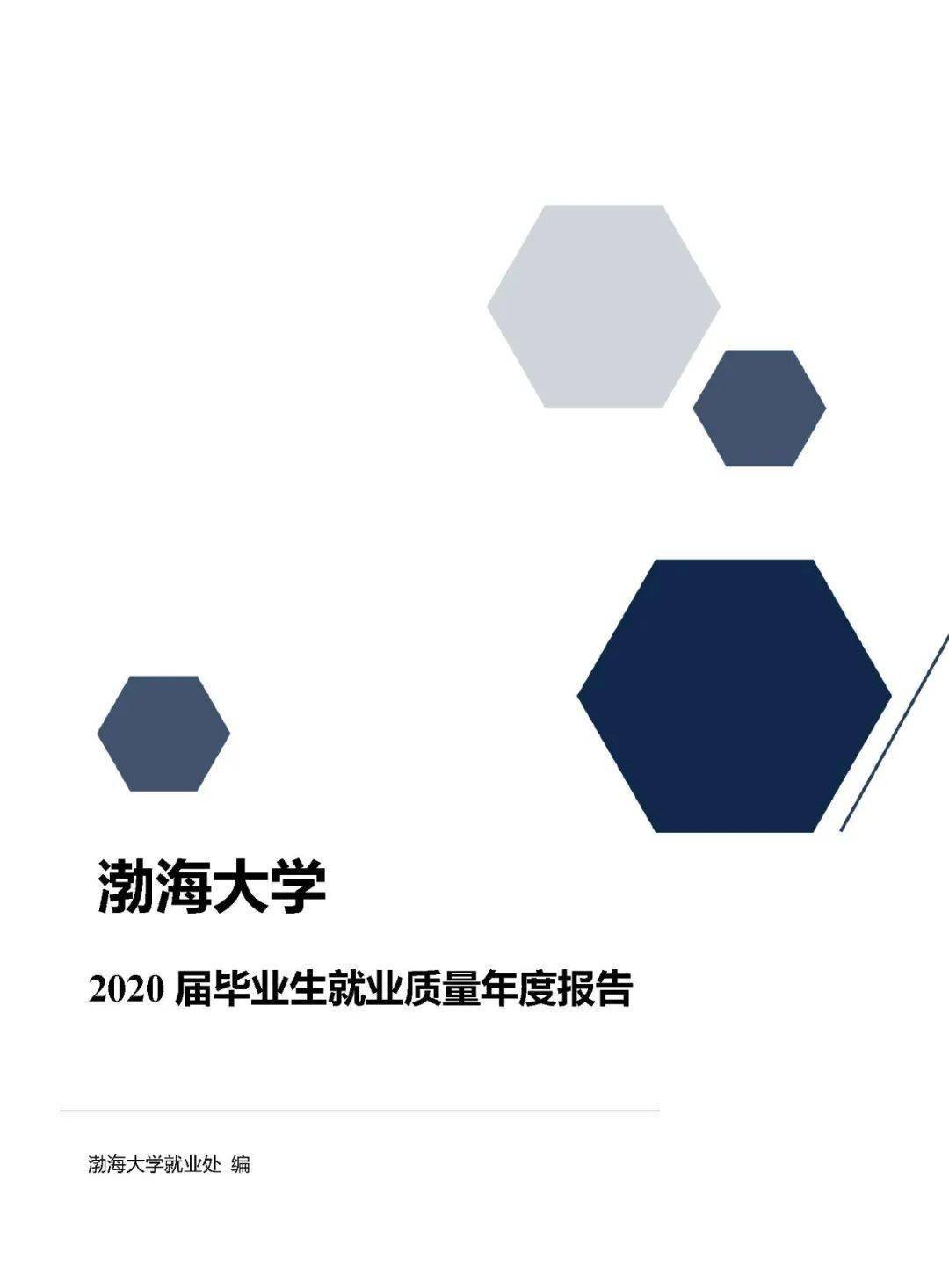 渤海大学2021年院校专业分数及就业质量报告
