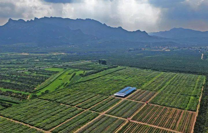 节气|今日冬至：漫漫冬夜，烹雪煎茶，不枉人间百年｜草地·二十四节气