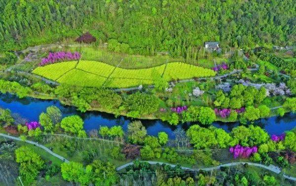 贵阳密植碳汇林绿景变成金