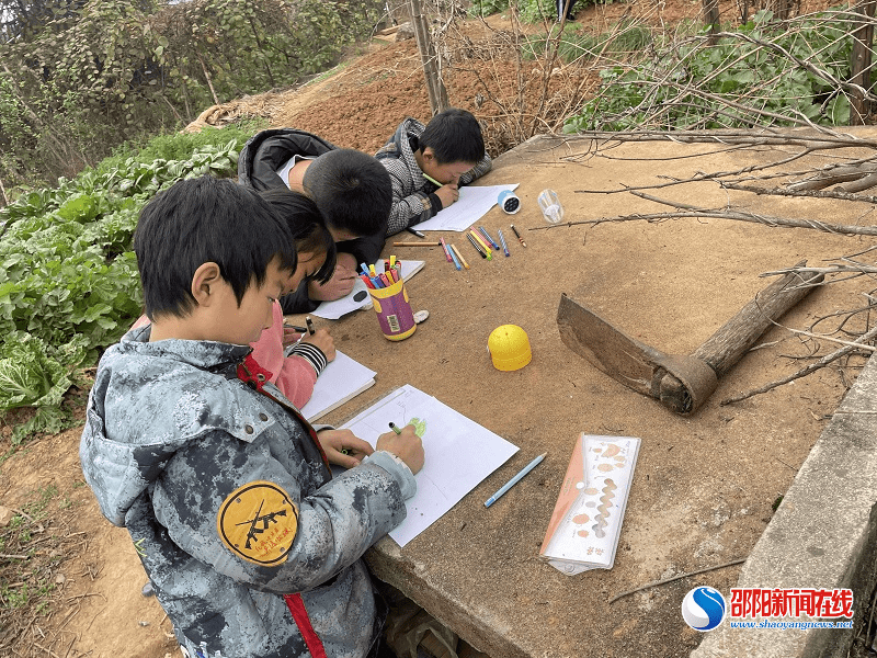 锄头|邵东市牛马司二完小：优化作业设计，减负增效提质