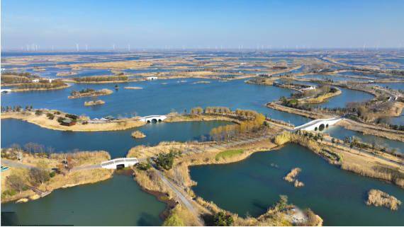 生物|江苏淮安：俯瞰白马湖湿地