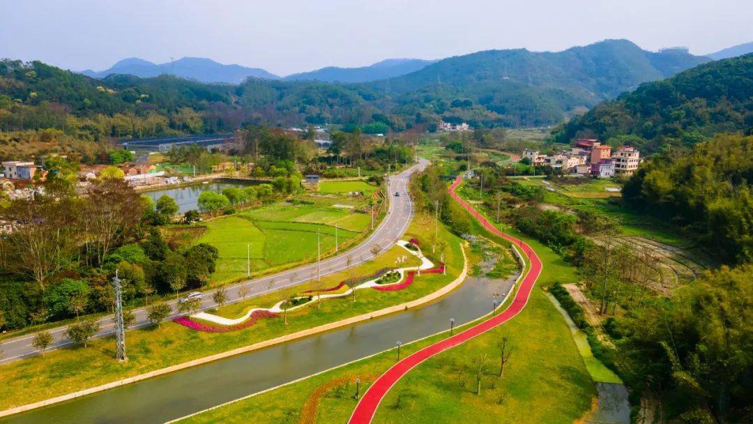 王厅涌,老屋涌三条河涌整治为契机,打造"碧道 美丽乡村"特色模式,助力