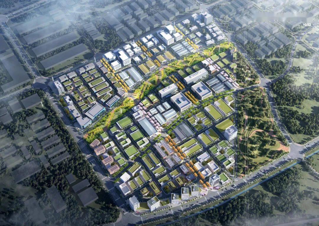 总投资180亿宜昌市点军区招商引资集中签约暨中电宜昌产业园项目入园