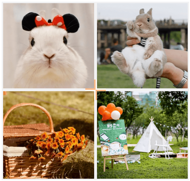 开发区星颐广场侏罗纪恐龙世界萌兔展空降烟台188元抢原价78元的单人