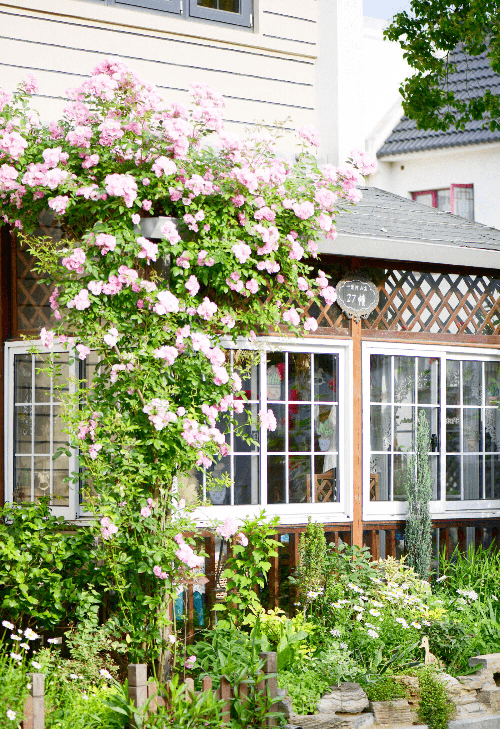 院子_时光_日子