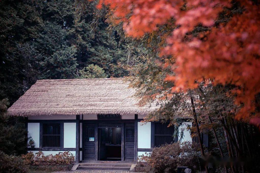 前特意撰《祭庐山文》,"以香火酒脯告于庐山遗爱寺四旁上下大小诸神"