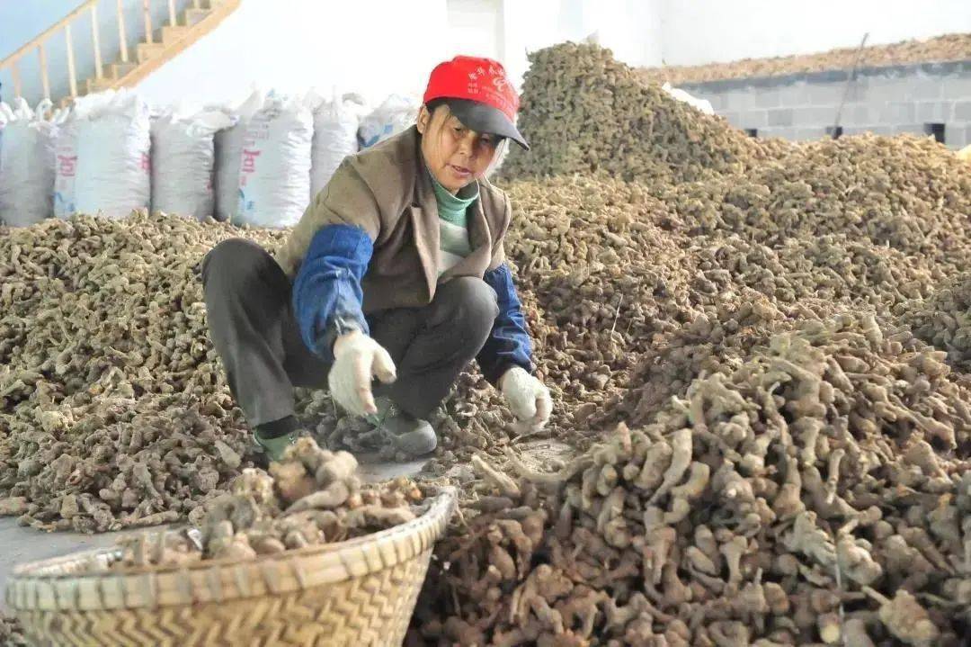 茶叶|一块块金字招牌的背后,竟是……