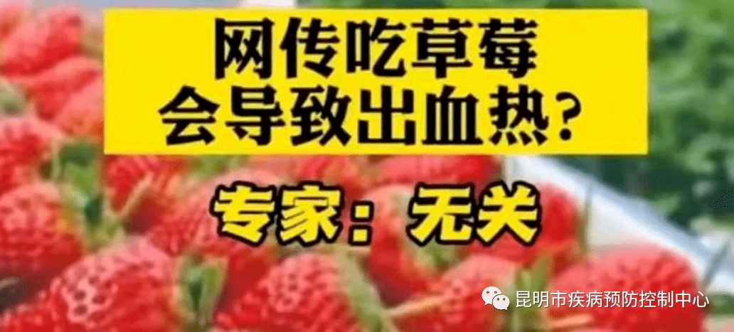 吃草莓会感染出血热草莓喊冤不背锅