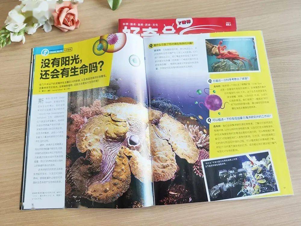 少儿|精选5套原版杂志于一体，“全领域通识教育”少儿期刊《好奇号》限时特价啦！