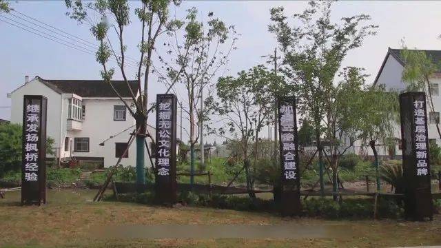 解锁平湖新埭星光村"民主法治村"的幸福密码_调解_镇星_孙梦圆