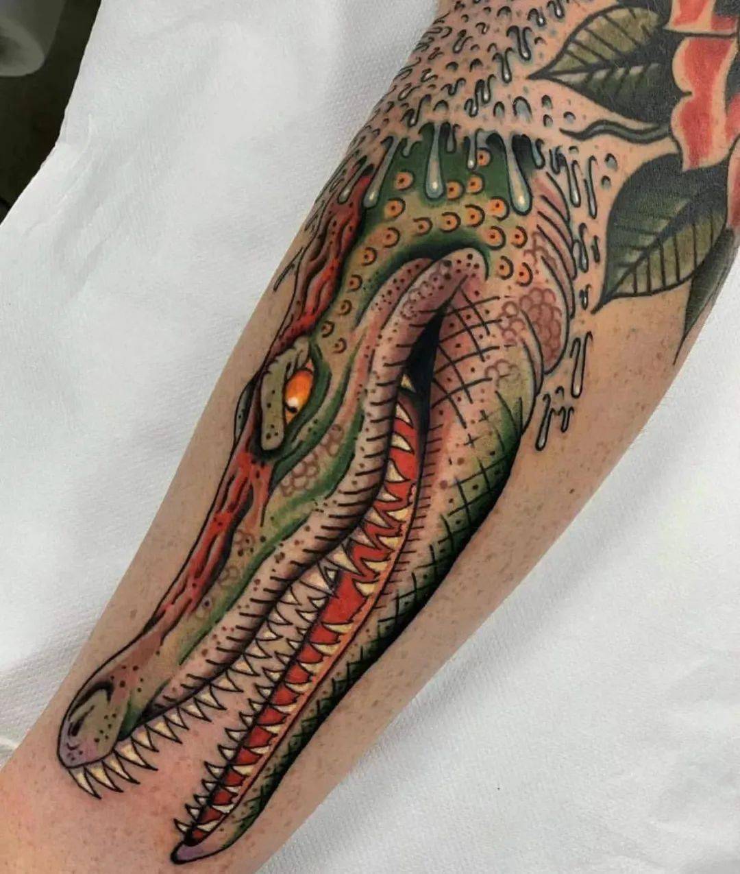 鳄鱼可不是肚子饿了的鱼_尼罗_体长_成体