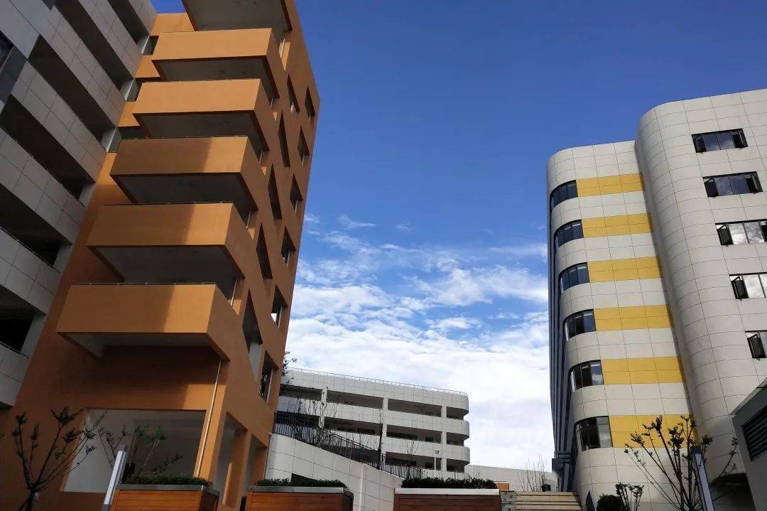 这里有一所好学校选择南部东辰国际学校的十大理由