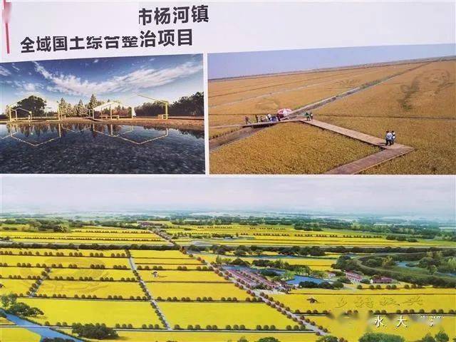 朱湖人到应城学习杨河镇的搞法_整治_朱湖农场_建设