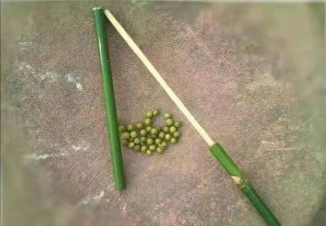 这个竹子做的东西杀伤力可大了!类似于弹弓一样.