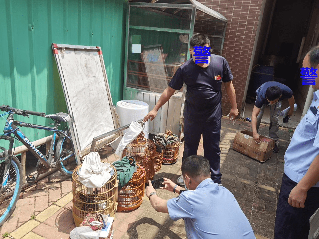 因购买国家二级保护动物画眉鸟博罗一男子被判刑6个月