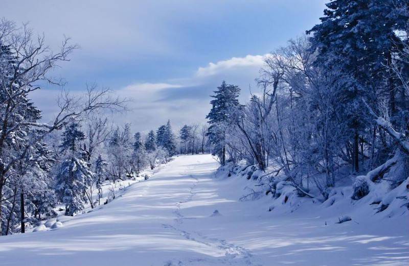 吉林|遇见凇雪吉林，赴一场冬日里的浪漫旅行