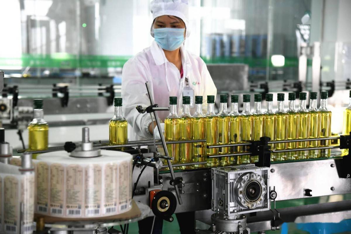 精炼技术工艺和设备,专业生产高纯度山茶油,产品先后荣获"绿色食品