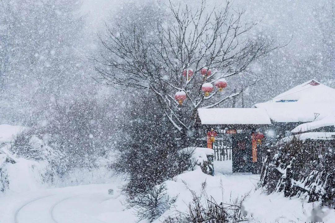 雪舞倾城，醉美流年_雪花_散发出_瞬间