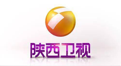 陕西卫视的台标原意为三秦大地,一个橙色的圆形,上面有两个长方形