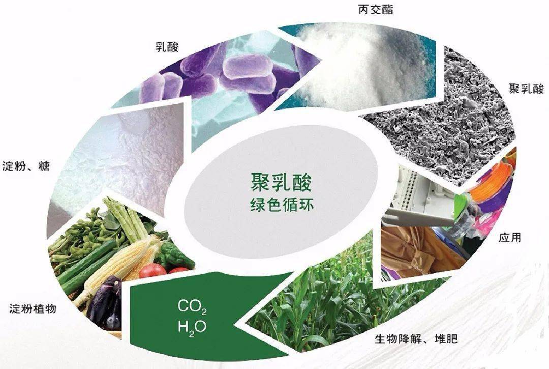 聚乳酸熔喷非织造材料的研究进展_纺织_技术_应用