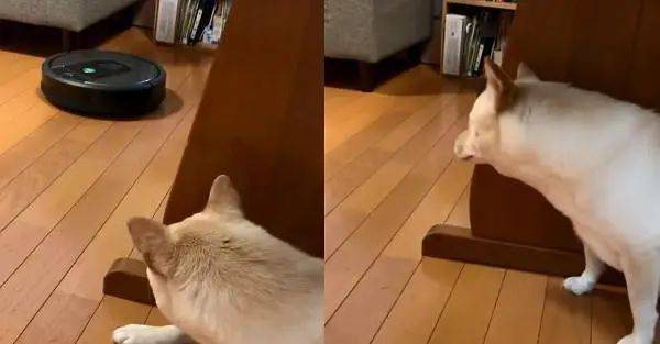 声响立刻起身,躲在机器不会行经的路线,远远望着黑色的滚轮逐渐靠近