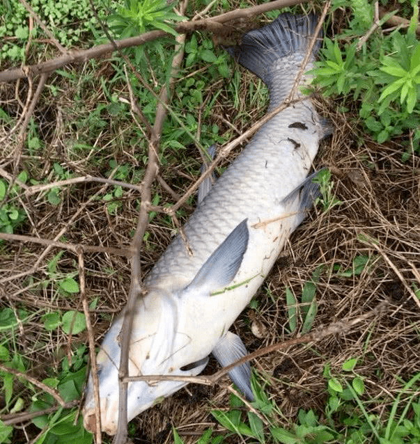 餌料_釣友_水深