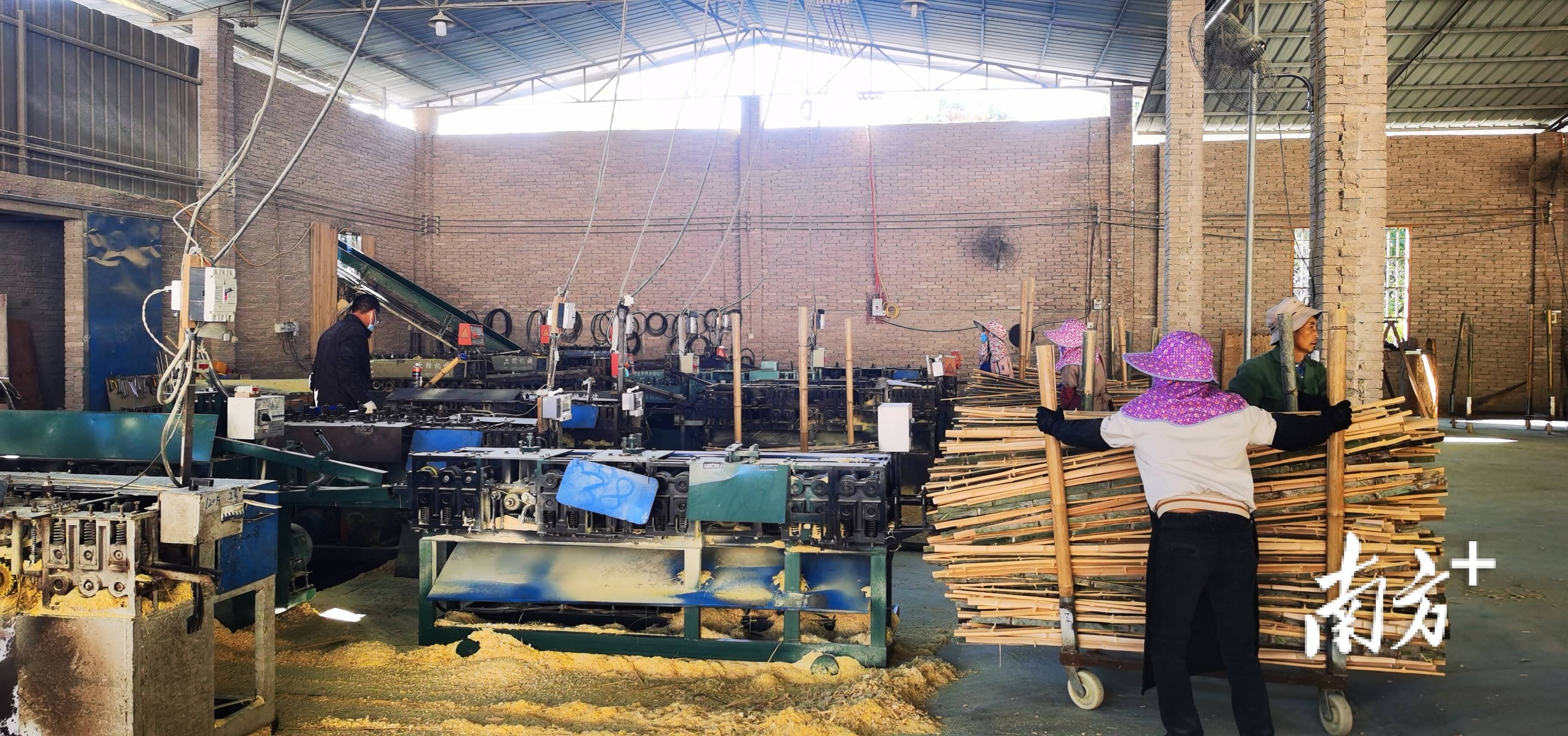 激发内生动力发展实体经济②小毛竹大产业梅州平远毛竹闯进国际市场