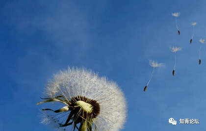 a7bc3710ceb64c638ac77a8f1ef56088.png